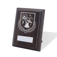 UV Colour Printed Music Walnut Plaque with Strut