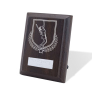 UV Colour Printed Tennis Walnut Plaque with Strut