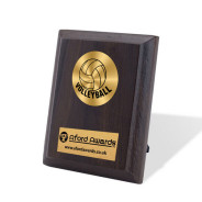 Volleyball Walnut Plaque with Strut