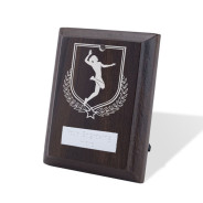 UV Colour Printed Volleyball Walnut Plaque with Strut