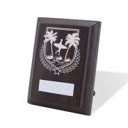 UV Colour Printed Surfing Walnut Plaque with Strut