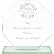 Octagon Glass Award