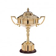Sterling Gold Plated Cup