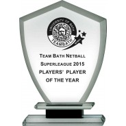 Clear Glass Shield on Black Base Award