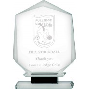 Clear Glass Shield on Black Base Award
