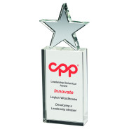 Colour Printed Clear Glass Block with Glass Star