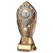 Bronze/Silver Diamond Column with Parents Player Disc