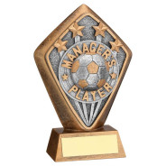 Bronze Managers Player Diamond Award
