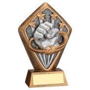 Bronze Martial Arts Diamond Award