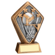 Bronze Netball Diamond Award
