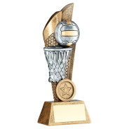 Antique Bronze Netball and Net on Mesh Backdrop