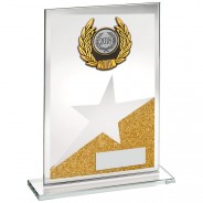 Gold/Silver Glass Plaque With Silver/Black Trim Trophy
