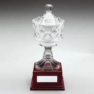 Clear Glass Cup on Wood Base Trophy 