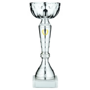 Silver Trophy Cup with Gold Wreath