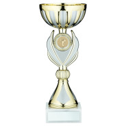 Gold Matt Silver Trophy Cup