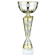 Gold and Silver Matt Trophy Cup