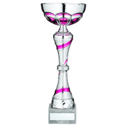 Gold Matt Silver Trophy Cup