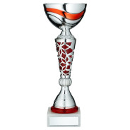 Silver and Red Trophy Cup