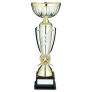 Gold and Silver Stripe Trophy Cup