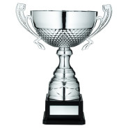 Silver Half Bowl with Handles