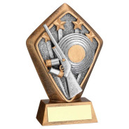 Bronze Shooting Diamond Award
