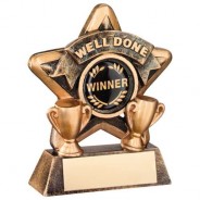 Mini Star 'Well Done' Trophy - Bronze/Gold Well Done 