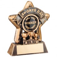 Mini Star 'Sports Day' Trophy - Bronze/Gold Sports Day