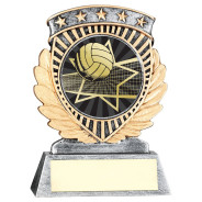 5 Star Holder with Volleyball Insert
