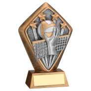 Bronze Volleyball Diamond Award