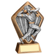 Bronze Cricket Bowler Diamond Award