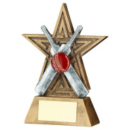 Antique Bronze Cricket Star Award