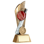 Antique Bronze Cricket Ball and Bat on Mesh Backdrop