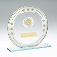Silver Jade Glass Award with Gold Stars and Cricket Insert