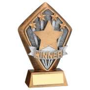 Bronze 'Winner' Diamond Award