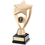 Gold Shooting Star Holder on Black Base Trophy