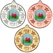 Wales Medal