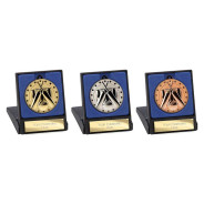 Cascade Stars Cricket Medal & Box 50mm