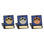 Cascade Stars Darts Medal & Box 50mm
