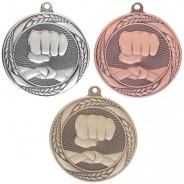Typhoon Martial Arts Medal