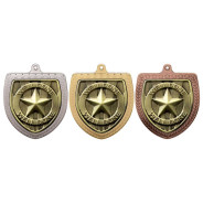 Cobra Well Done Shield Medal
