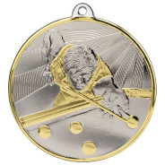 Premiership Pool Medal Gold & Silver