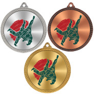 Judo 60mm Medal