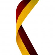 Maroon and Gold Ribbon