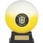 White and Yellow Nova Sphere Award