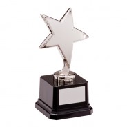 The Challenger Star Silver Award