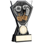 Two Tone Stand Boxing Gloves Silver and Black