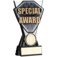 Two Tone Stand Special Award Silver and Black