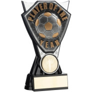Two Tone Stand Silver and Black Football Player of the Year