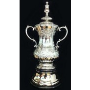 Prestigious Nickel Plated Championship Trophy