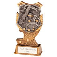 Titan Swimming Award